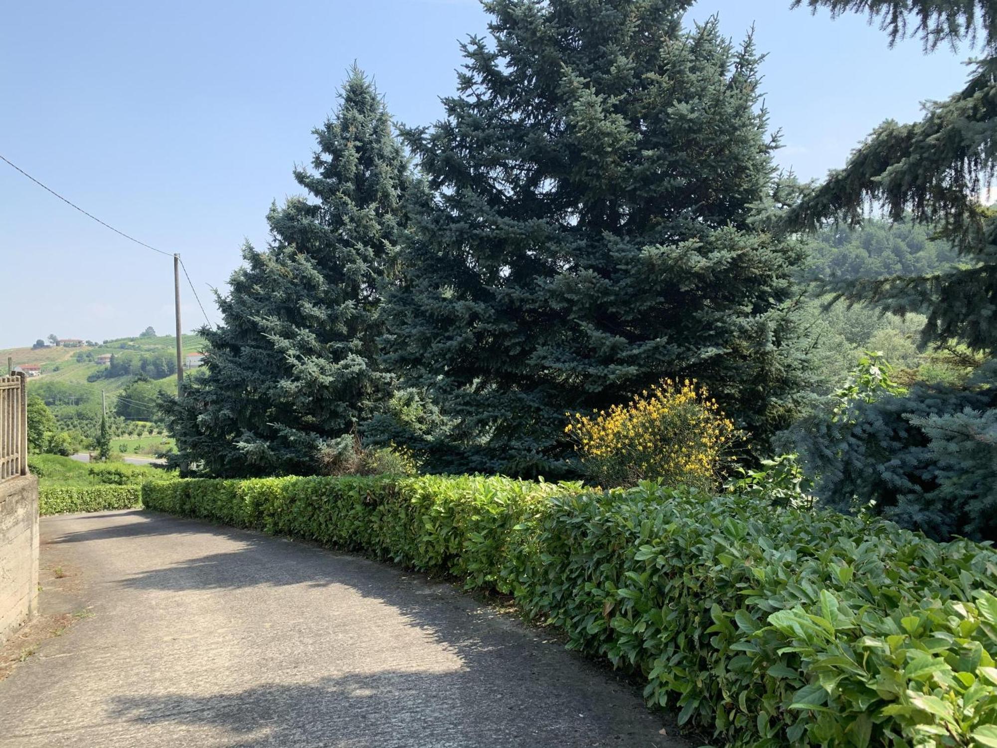 Ferienwohnung Bricco Nebbiolo Neviglie Exterior foto